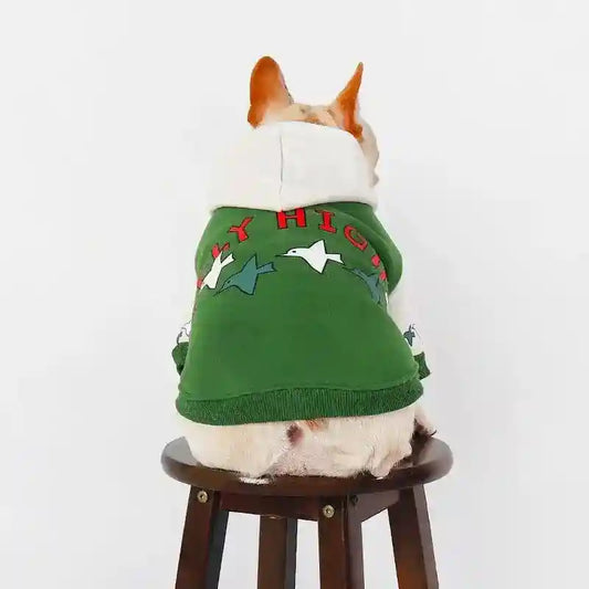 French Bulldog wearing green fleece hoodie with bird prints and text 'Fly High' sitting on wooden stool