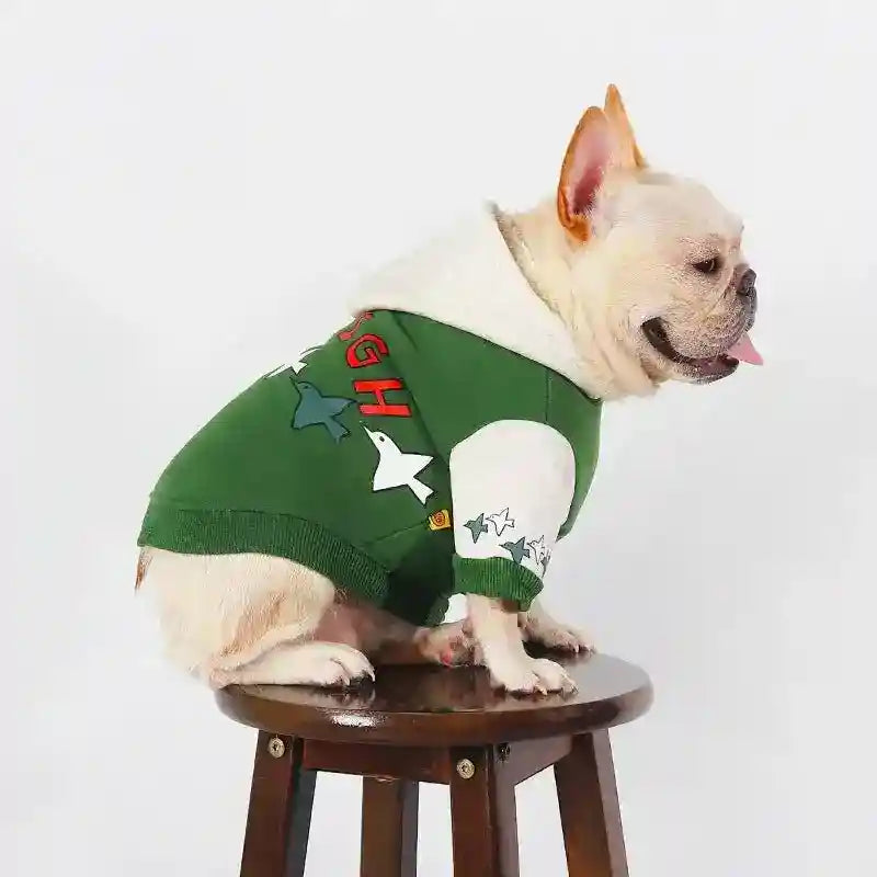 French Bulldog wearing green fleece hoodie with bird prints and 'FLY HIGH' text sitting on wooden stool
