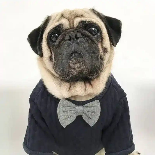 Felpa per Bulldog e Carlino con papillon "Cocoon" - Dog Moda
