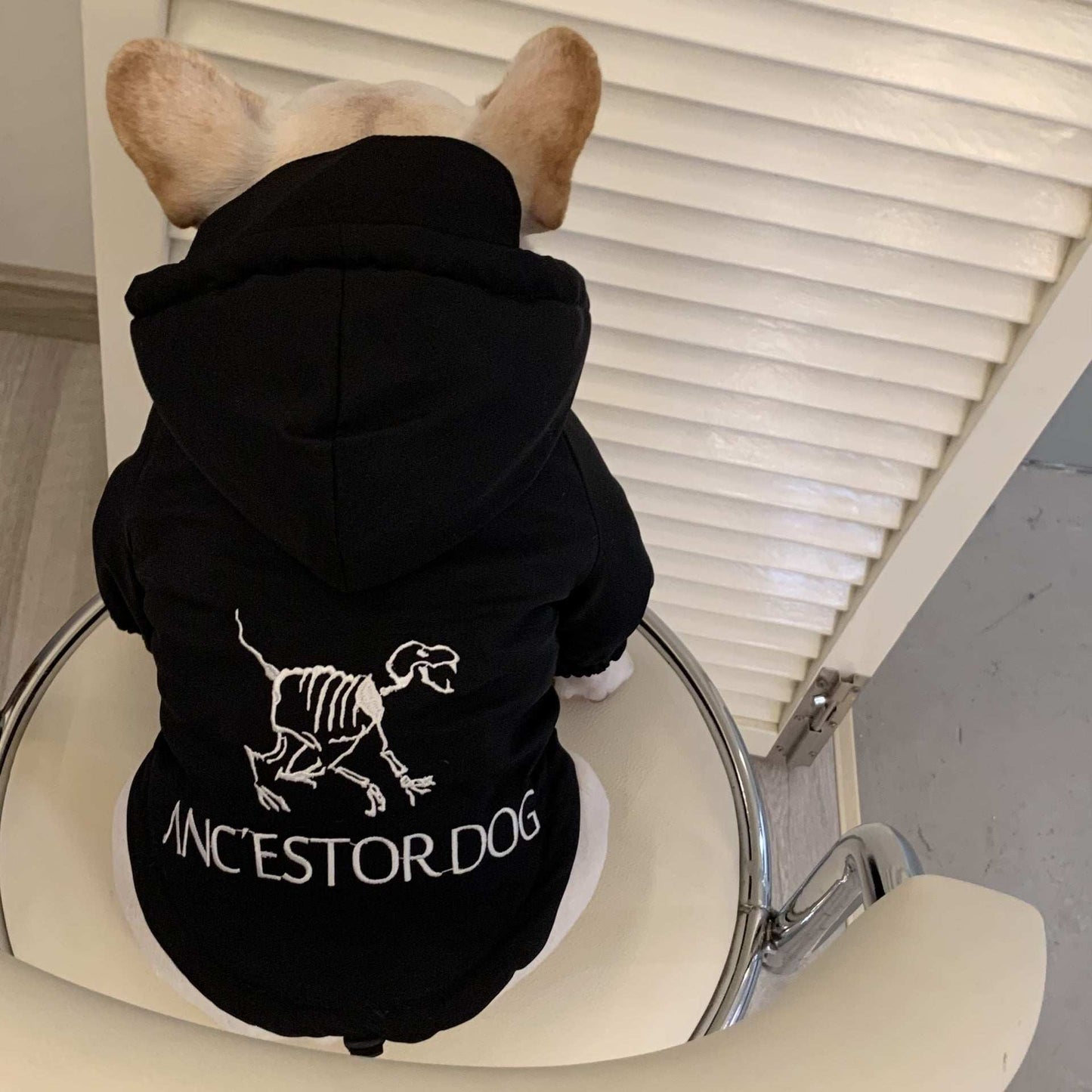 Felpa per Cani con Cappuccio "Cane Ancestrale" - Dog Moda
