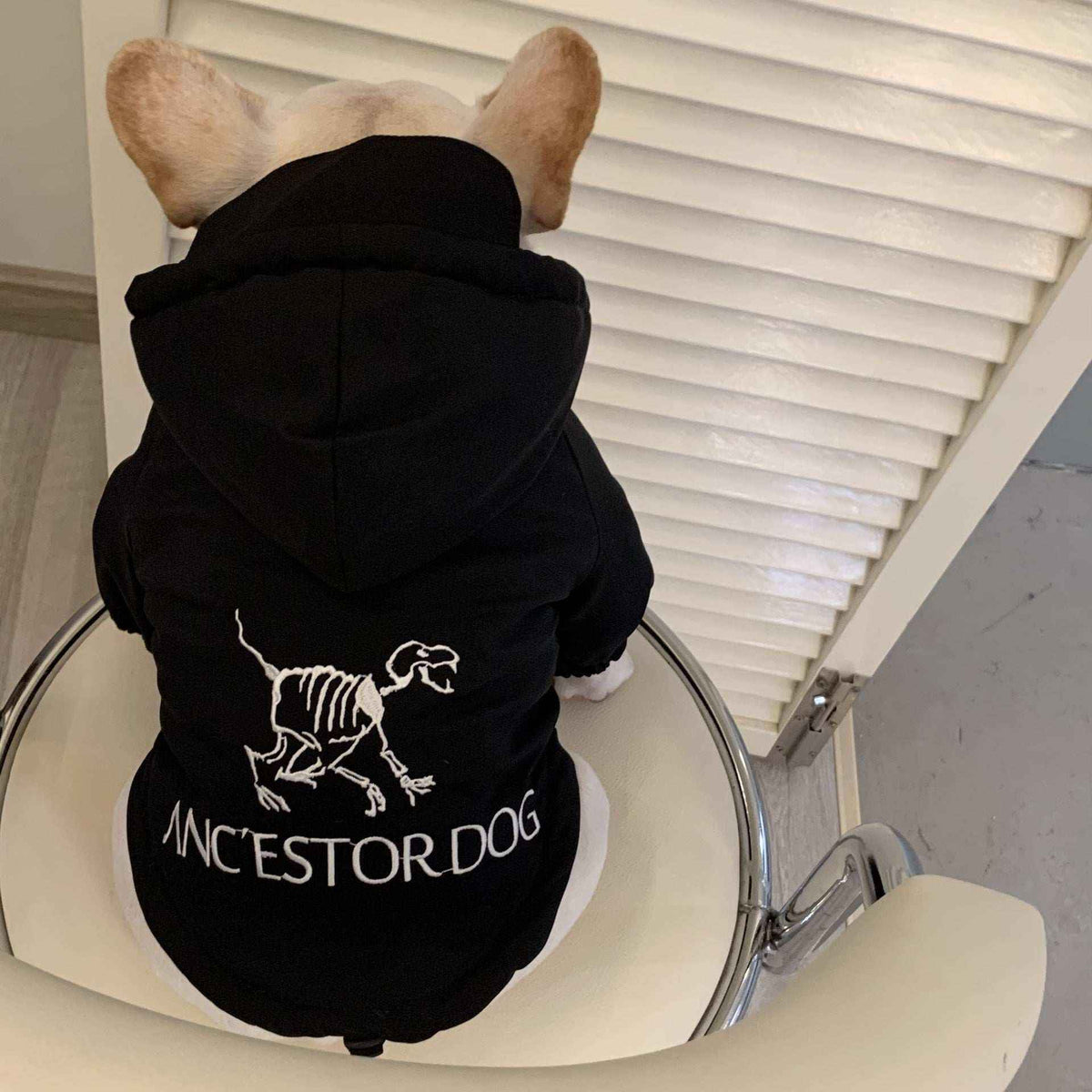 Felpa per Cani con Cappuccio "Cane Ancestrale" - Dog Moda