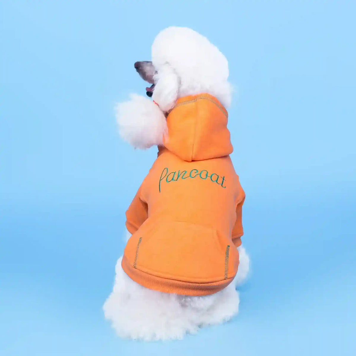 Felpa per Cani con Cappuccio "Pancoat" - Dog Moda