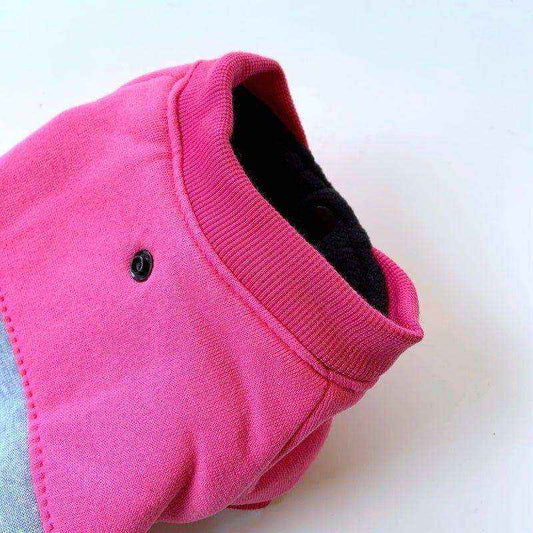Felpa per cani costume corriere rider "Foodpet" - Dog Moda