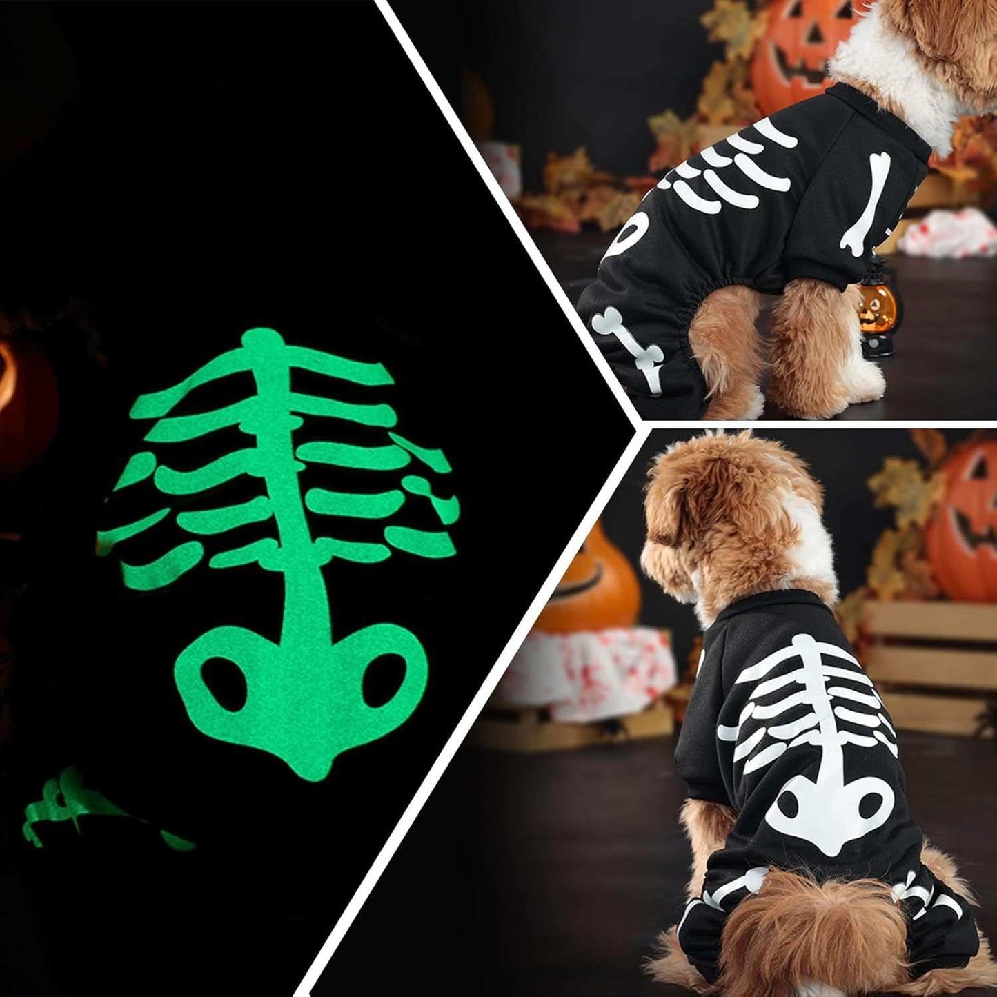Felpa per Cani "Scheletro Luminoso" - Il Costume di Halloween Fosforescente - Dog Moda