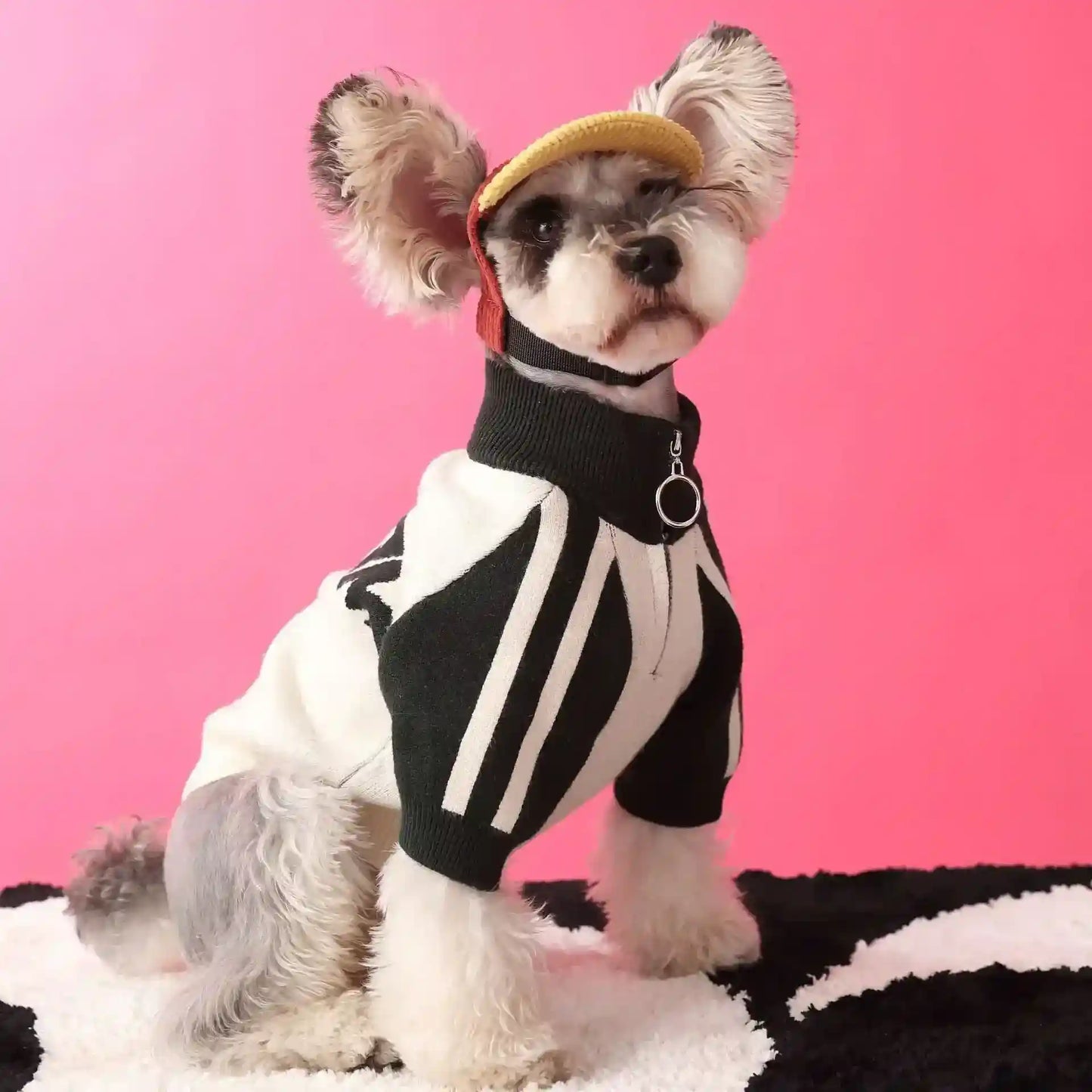 Felpa SportyPaw - Stile Baseball per Cani - Dog Moda