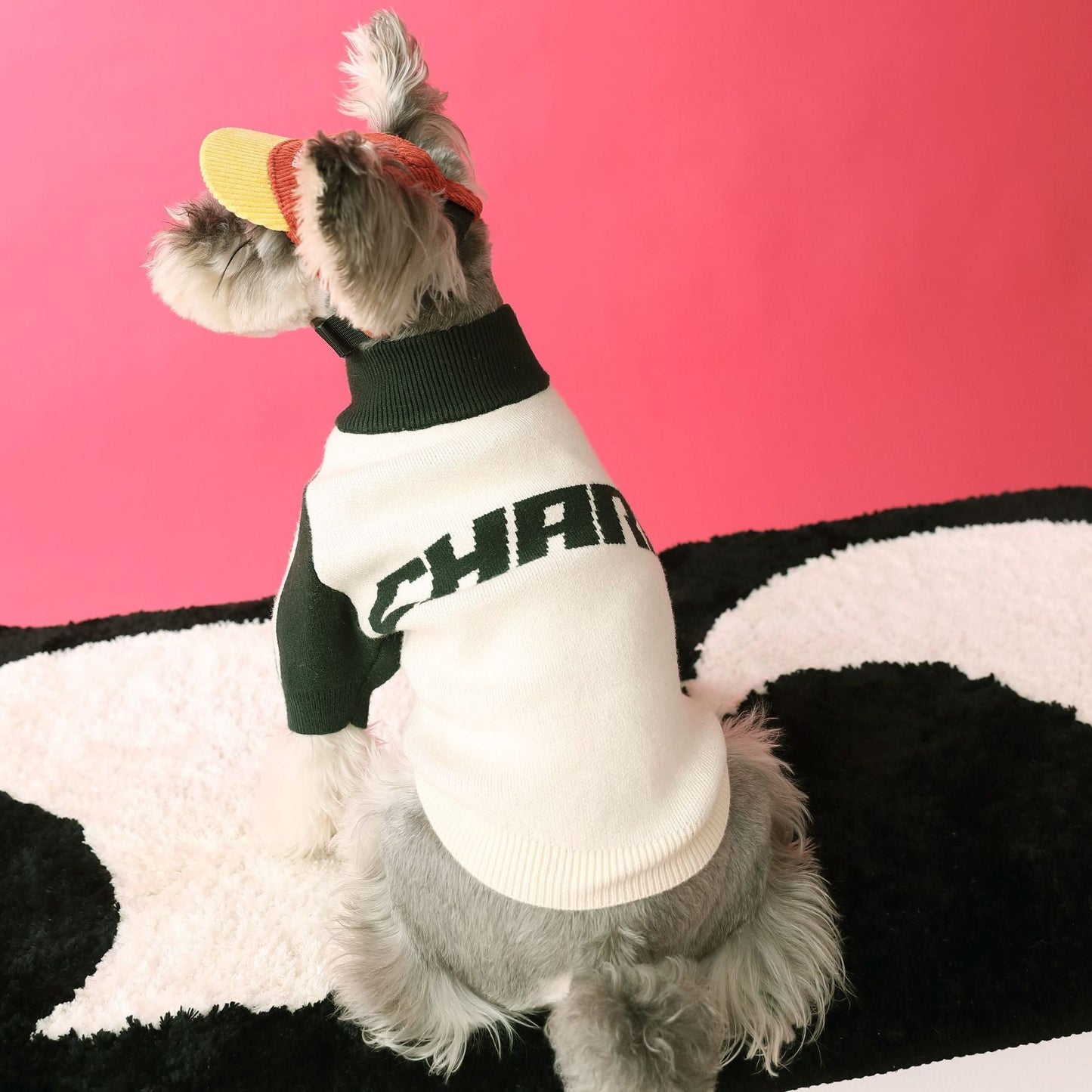 Felpa SportyPaw - Stile Baseball per Cani - Dog Moda