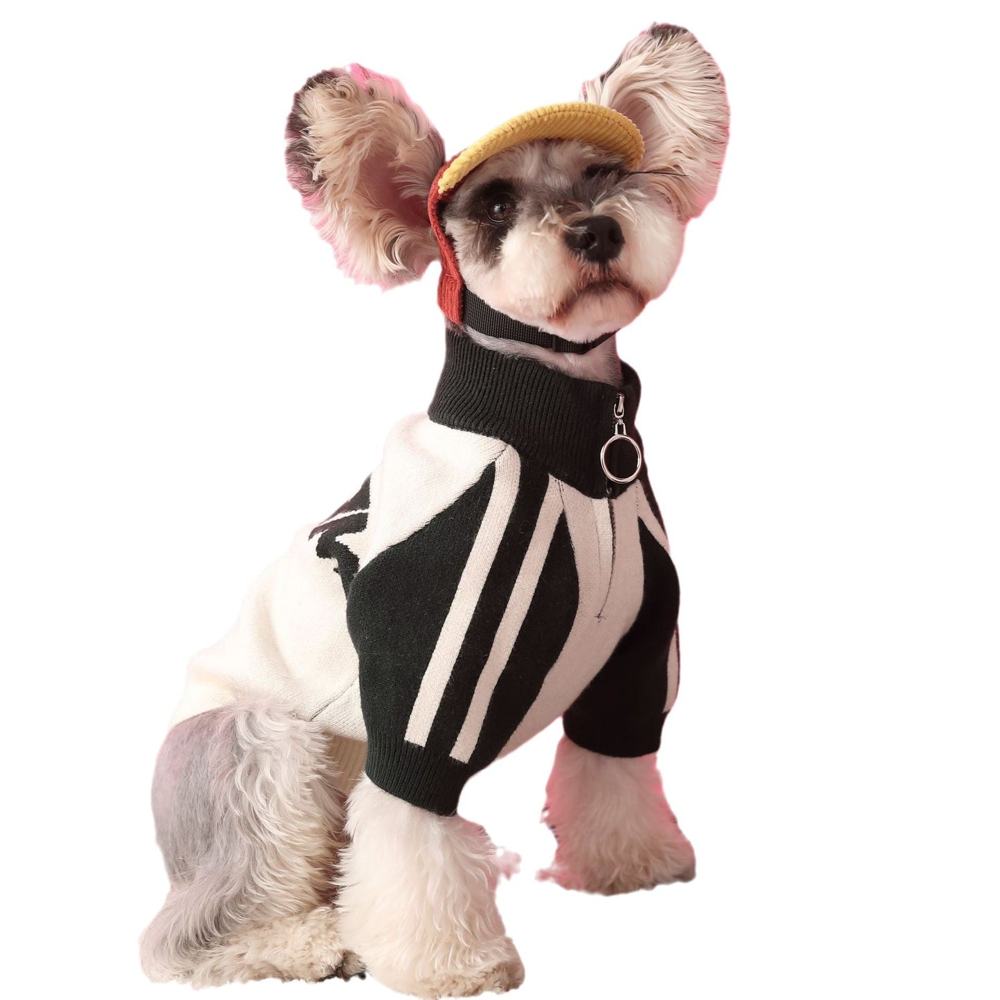 Felpa SportyPaw - Stile Baseball per Cani - Dog Moda