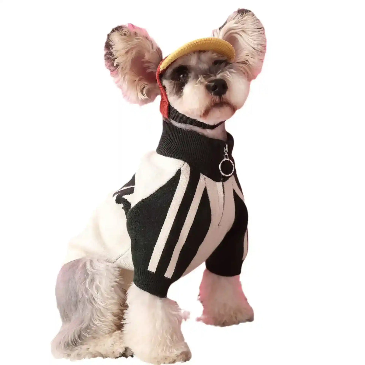 Felpa SportyPaw - Stile Baseball per Cani - Dog Moda