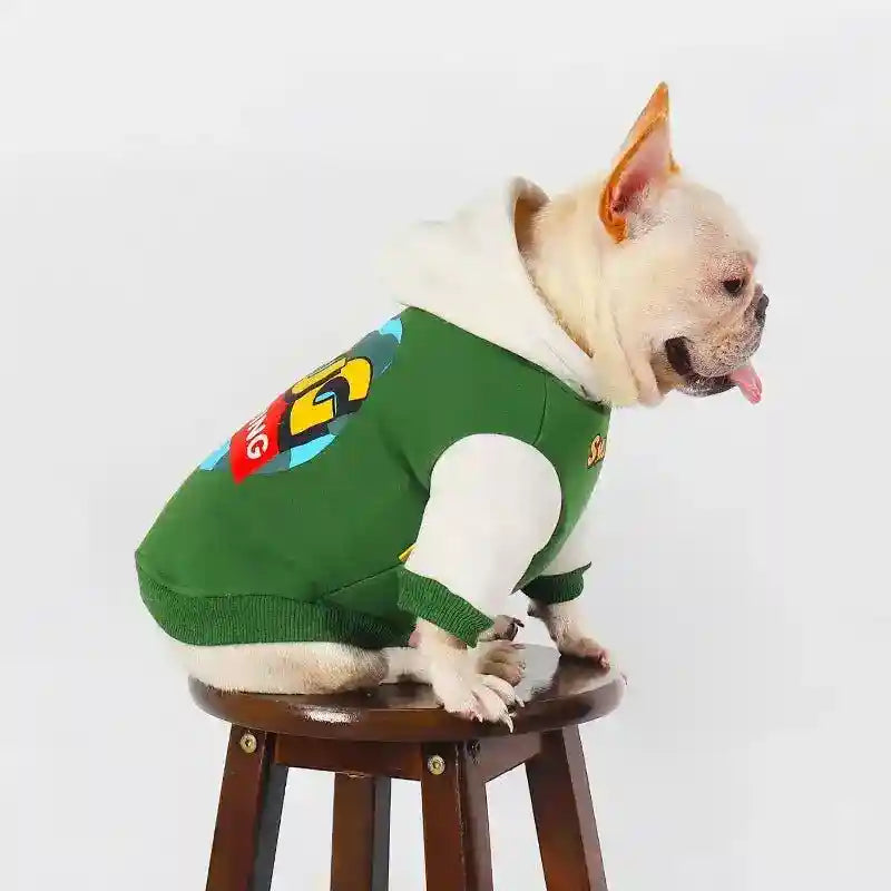 French bulldog wearing green and white hooded dog sweatshirt sitting on wooden stool