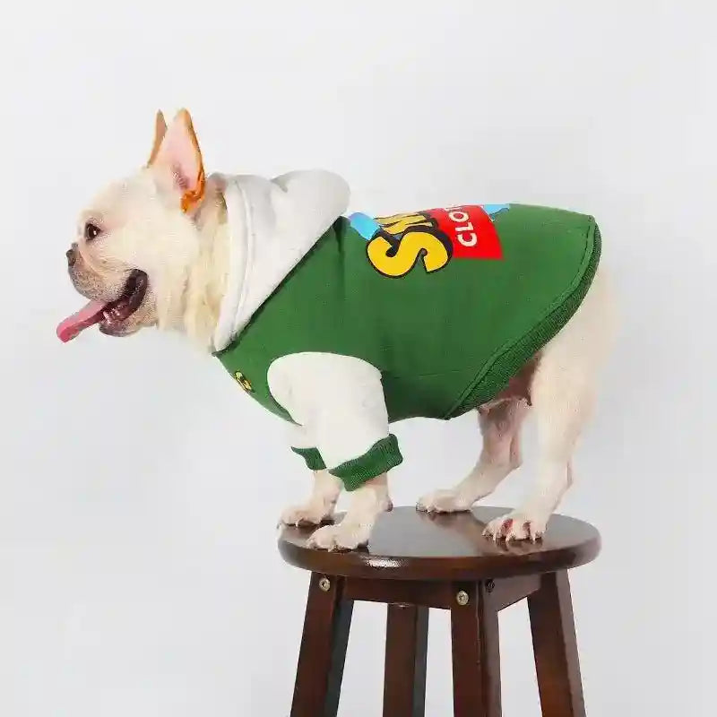 French bulldog wearing green and white hoodie standing on wooden stool against white background