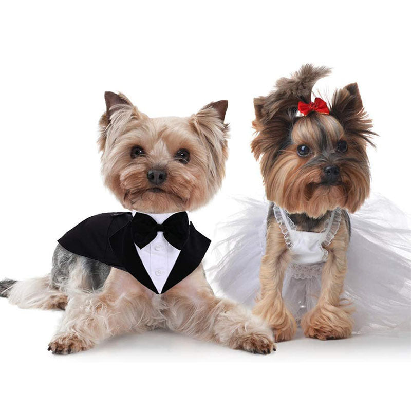 Smoking cerimonia per cani medi e grandi "Hugo Boss"