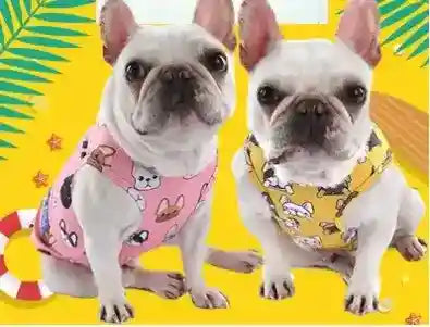 Maglietta per Bulldog francese "Dunking Puppy" by Dog Moda