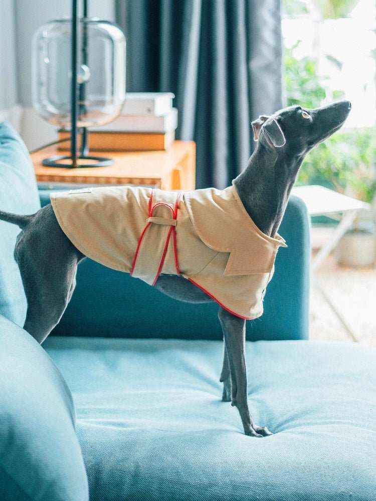 Giacca per cani elegante "Adele" - Dog Moda