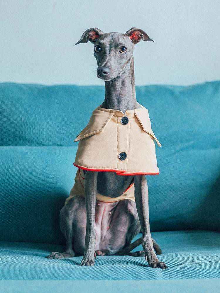 Giacca per cani elegante "Adele" - Dog Moda