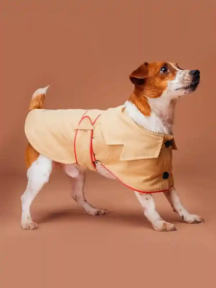 Giacca per cani elegante "Adele" - Dog Moda