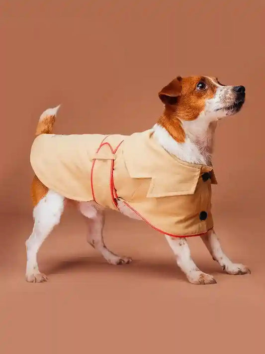 Giacca per cani elegante "Adele" - Dog Moda