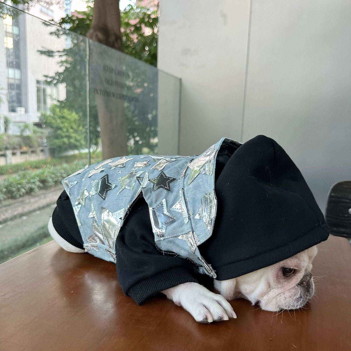 Gilet in Jeans per Cani - Modello Star con Stelline Luccicanti - Dog Moda