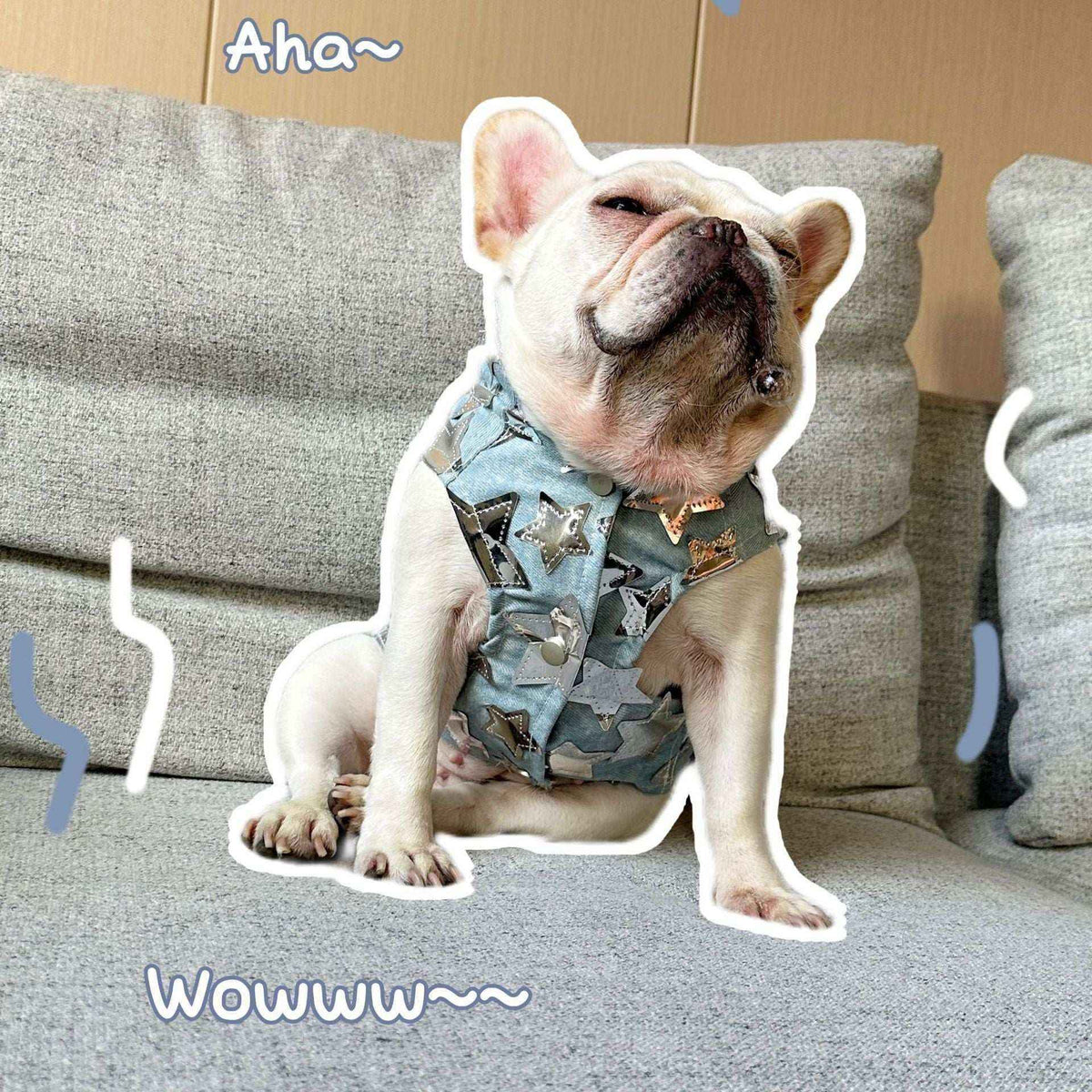 Gilet in Jeans per Cani - Modello Star con Stelline Luccicanti - Dog Moda