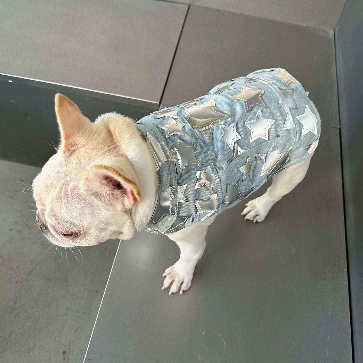 Gilet in Jeans per Cani - Modello Star con Stelline Luccicanti - Dog Moda