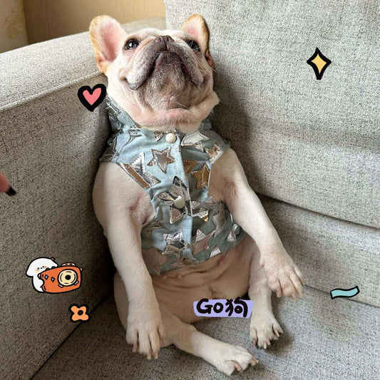 Gilet in Jeans per Cani - Modello Star con Stelline Luccicanti - Dog Moda