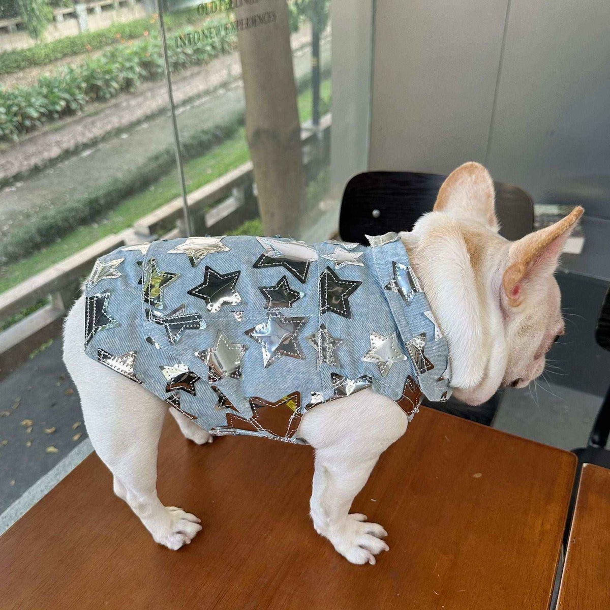 Gilet in Jeans per Cani - Modello Star con Stelline Luccicanti - Dog Moda