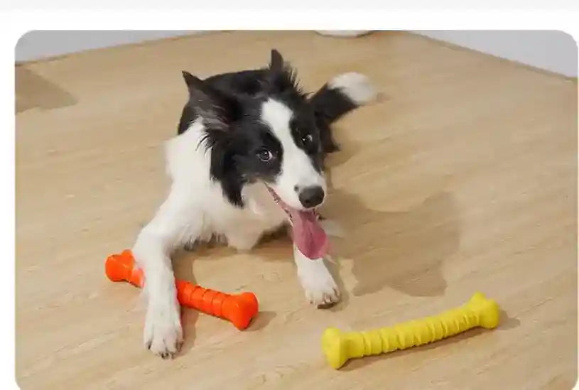 Gioco masticabile per cani osso in gomma super resistente - Dog Moda
