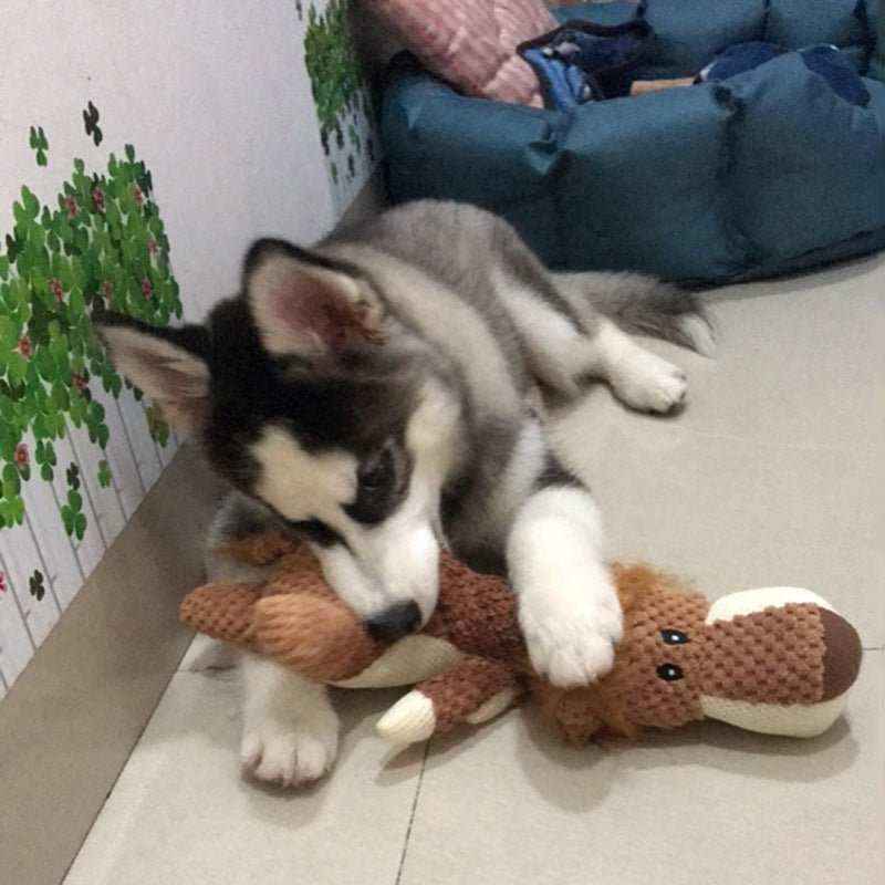 Gioco per cani peluche a forma di animali 28 cm - Dog Moda