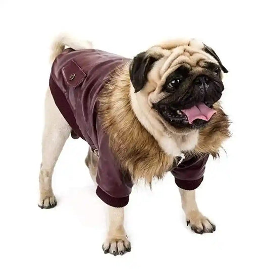 Giubbottino per cani in pelle imbottito "Boston" - Dog Moda