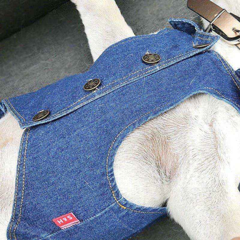 Giubbotto Jeans per Cani di Piccola Taglia Modello "Cray" - Dog Moda