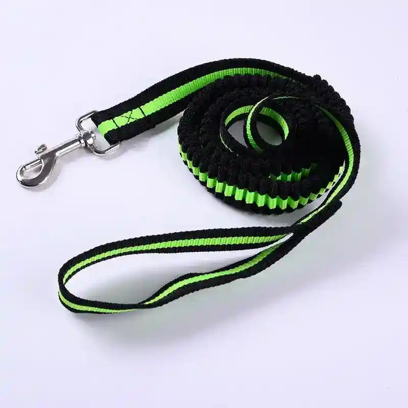 Guinzaglio per cani con ammortizzatore integrato - Dog Moda