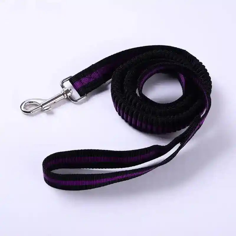 Guinzaglio per cani con ammortizzatore integrato - Dog Moda
