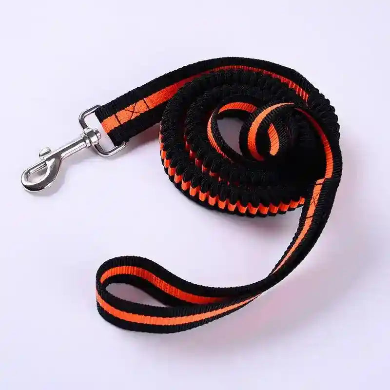 Guinzaglio per cani con ammortizzatore integrato - Dog Moda