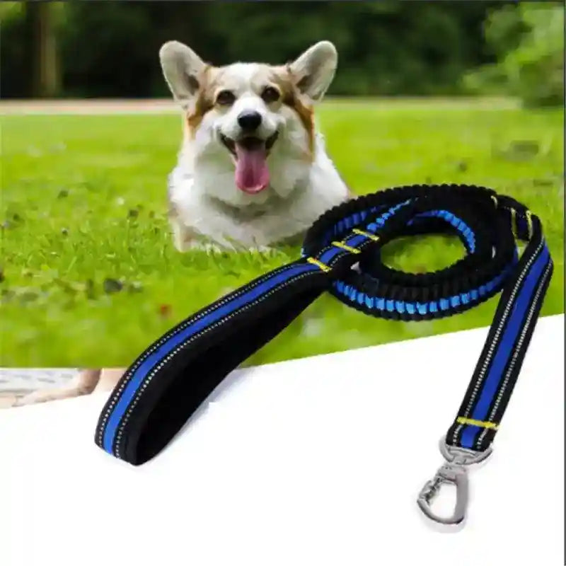 Guinzaglio riflettente con ammortizzatore per cani - Dog Moda