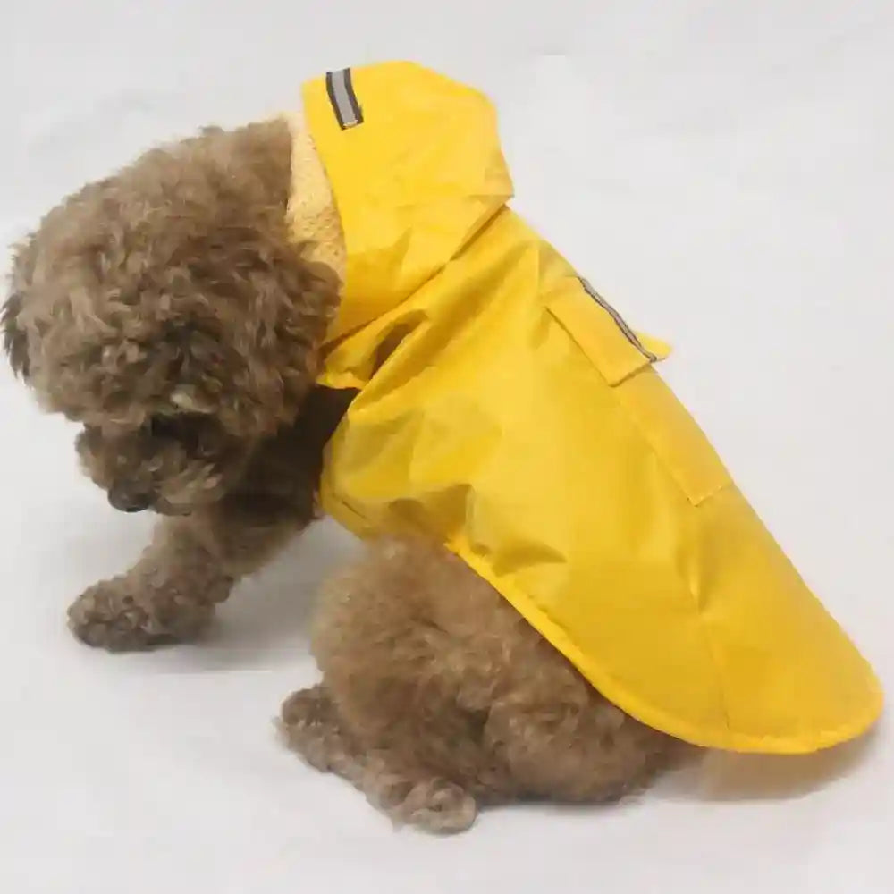 small curly brown dog wearing a bright yellow waterproof raincoat with hood and back pocket