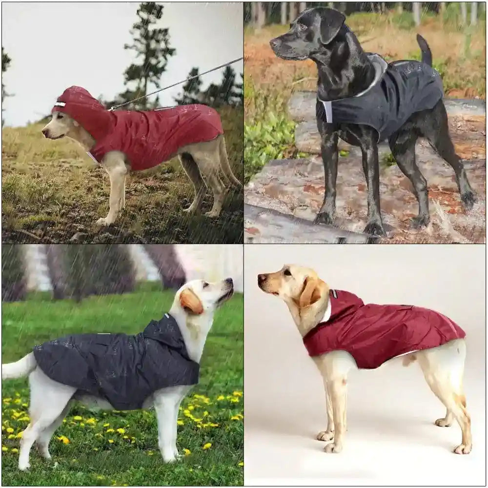 Collage of dogs wearing lightweight waterproof raincoats with hoods and back pockets in outdoor and studio settings