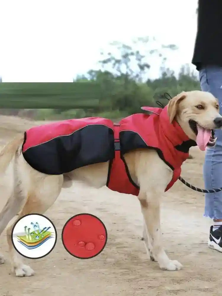 Impermeabile per Boxer e Retriver a fascia "Odino" - Dog Moda