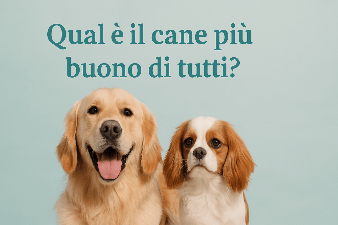 Qual è il cane più buono in assoluto? 🐾