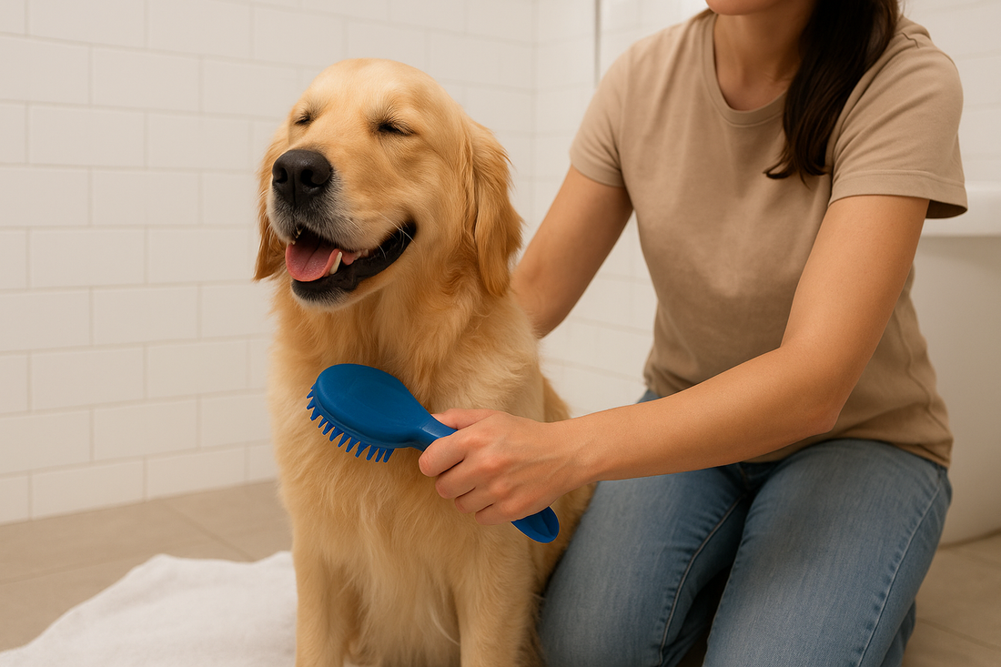Golden Retriever durante il bagno, accarezzato e spazzolato con una spazzola blu naturale da una donna, momento di cura e benessere del cane.