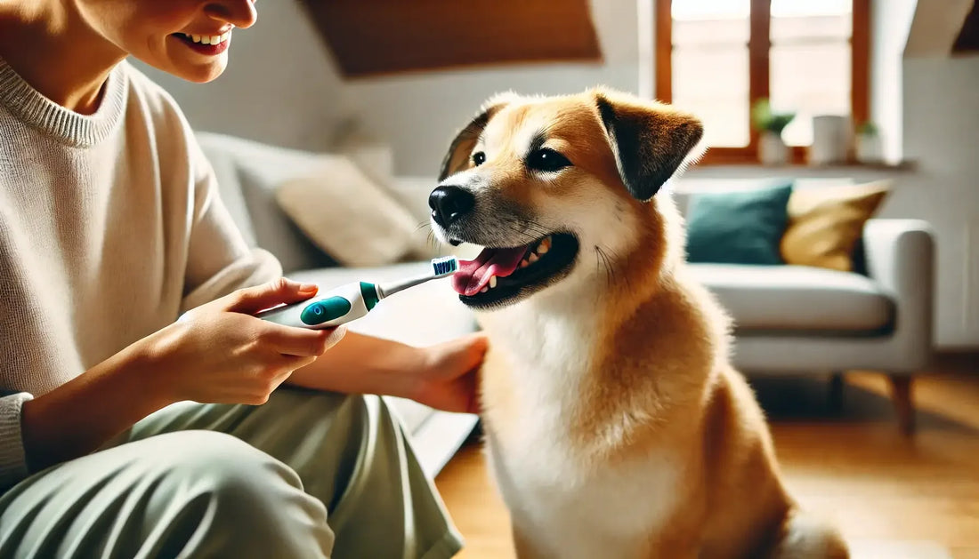 Person brushing happy dog’s teeth with electric toothbrush in cozy living room