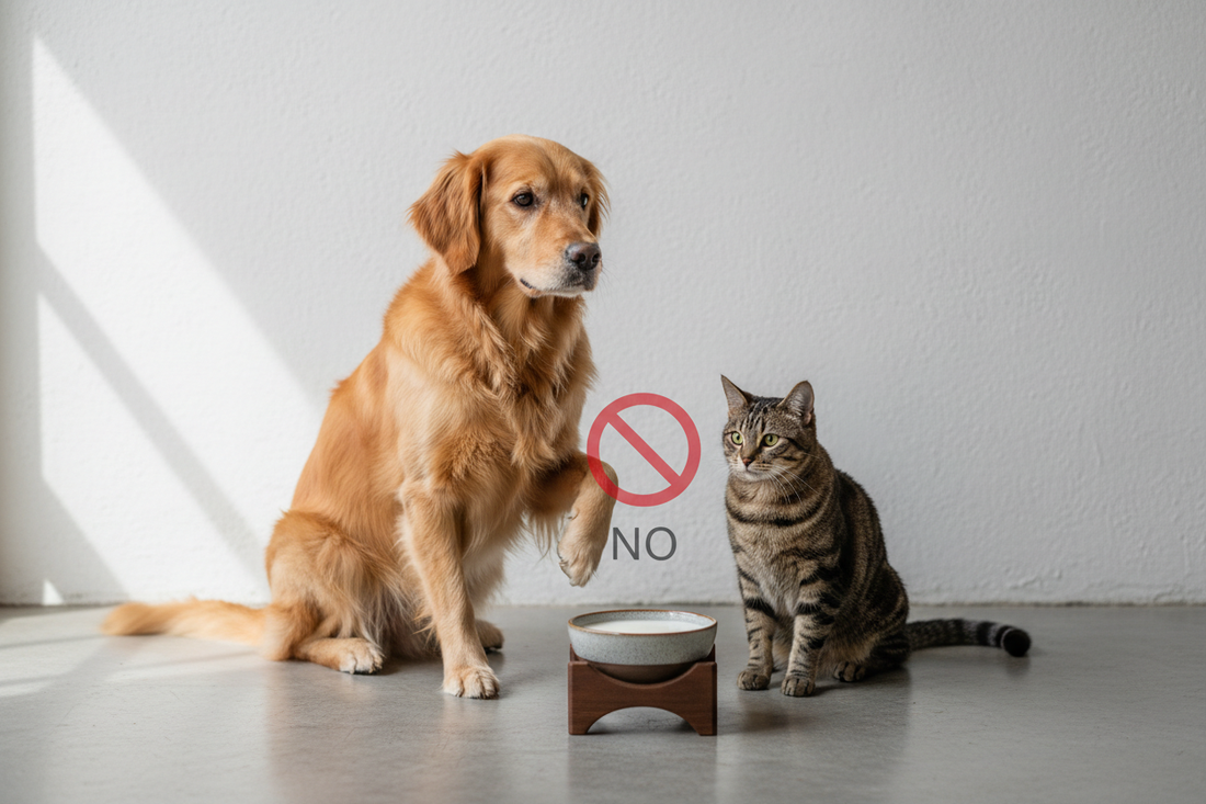 Cani e Gatti Possono Bere il Latte? La Verità Scientifica