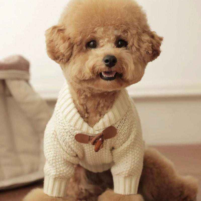 Cane con maglione a trecce con bottone in legno