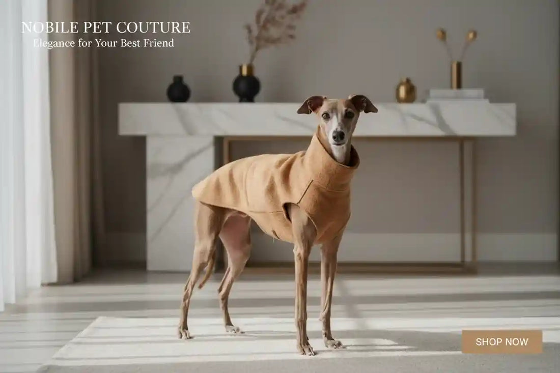 E-commerce vs Retail Fisico Pet: Convivenza Strategica 2026