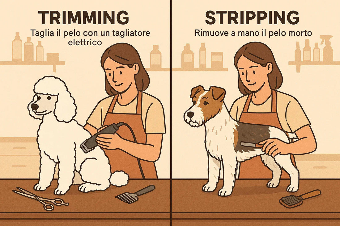 Illustration comparing dog grooming trimming with electric clipper and hand stripping techniques