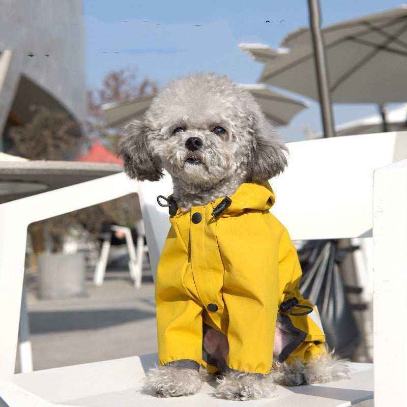 Cane con impermeabile giallo con cappuccio per la pioggia