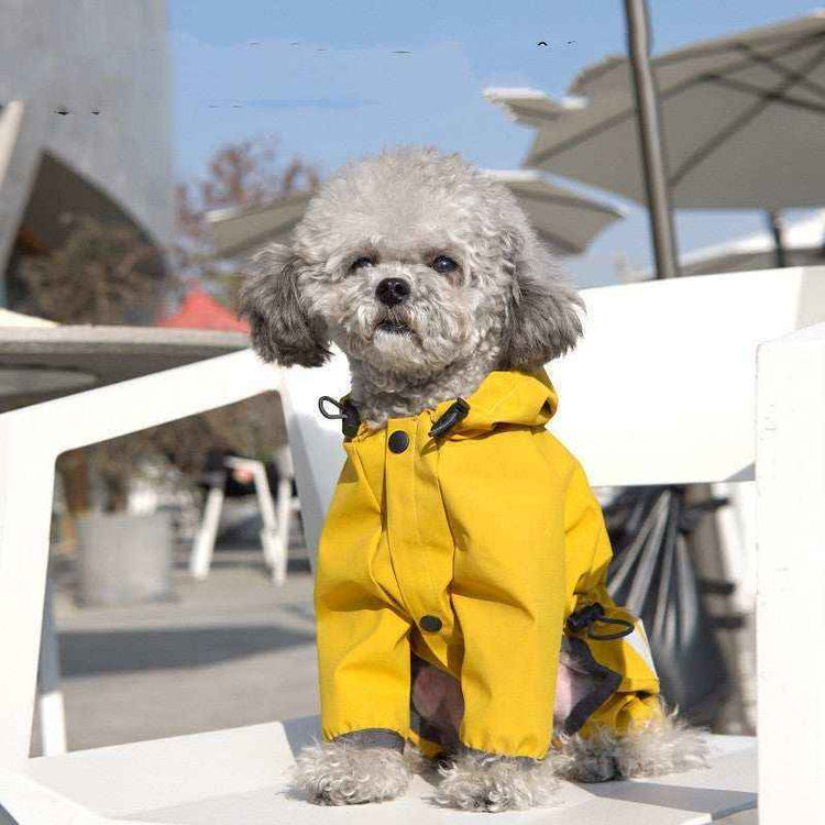 Cane con impermeabile giallo con cappuccio per la pioggia