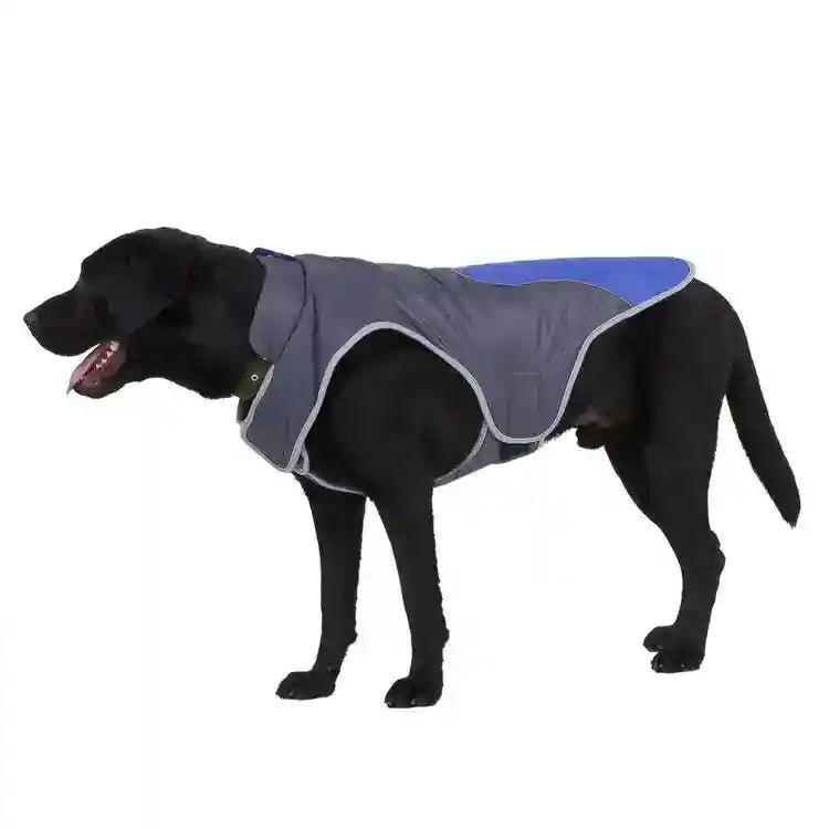 Cane di taglia grande con giacca impermeabile