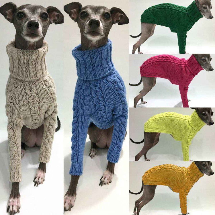 Cani con maglioncini a collo alto in vari colori