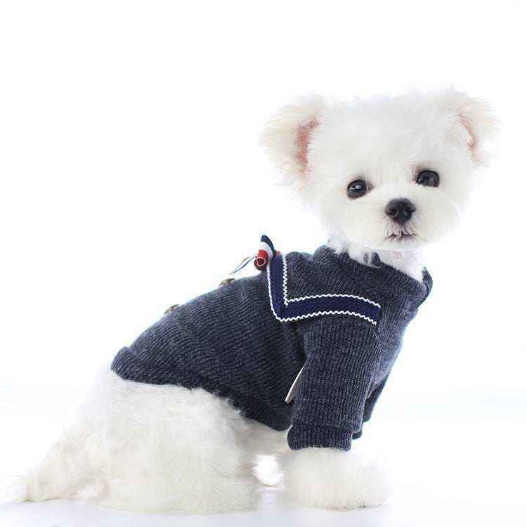 Cane di piccola taglia con maglione blu
