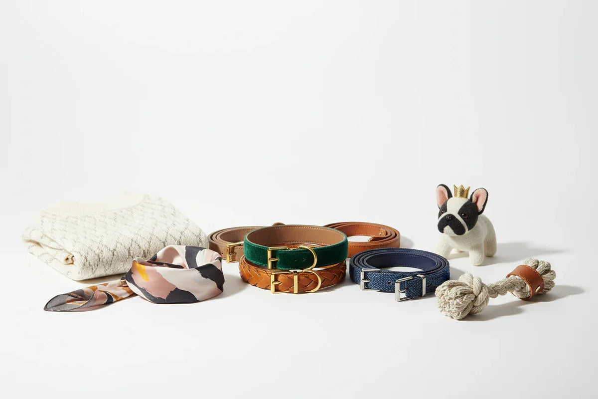 Dog accessories including collars, leashes, a rope toy, a scarf, and a plush dog figure on white background