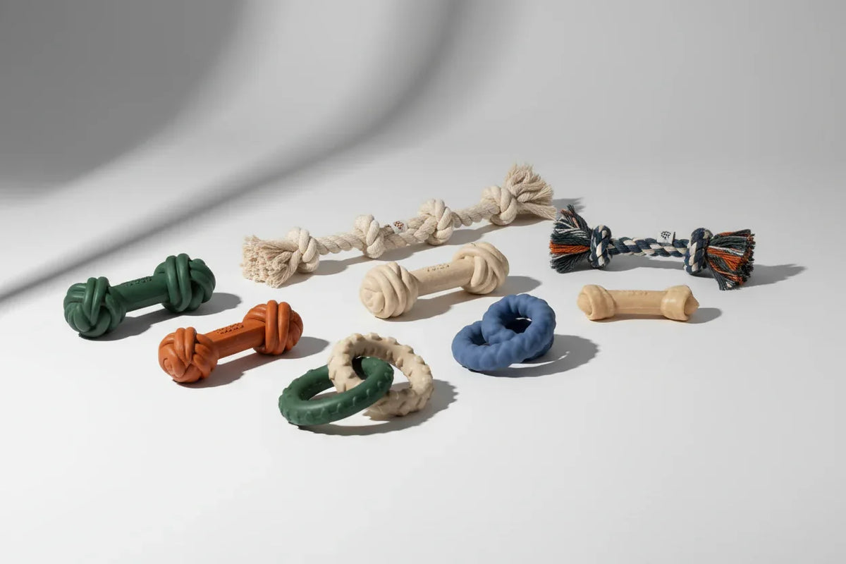 Assorted durable dog chew toys including rope knots, rubber bones, and rubber rings on white background